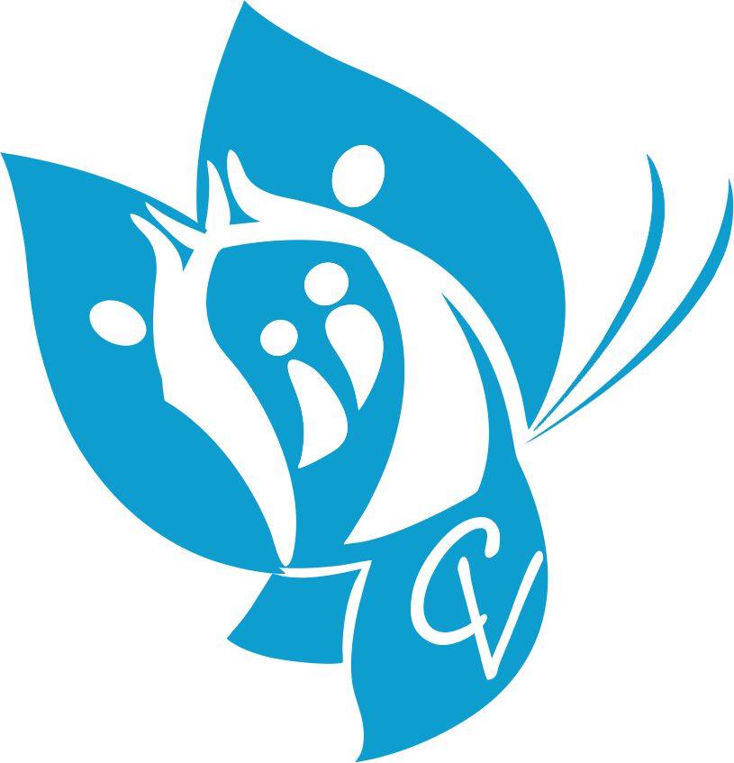Logo Capacivision